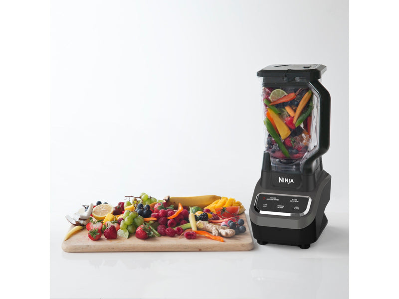 Ninja® Professional Blender